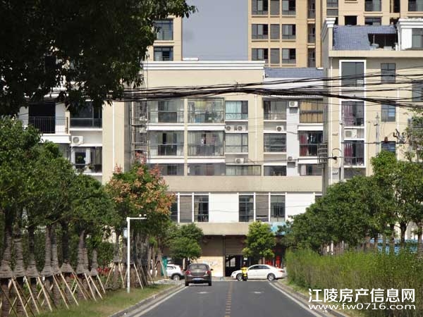 �������ݽ����Ѩ�Ͱ�����뵺