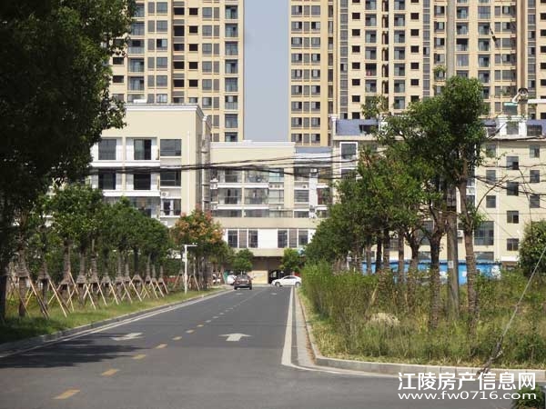 �������ݽ����Ѩ�Ͱ�����뵺