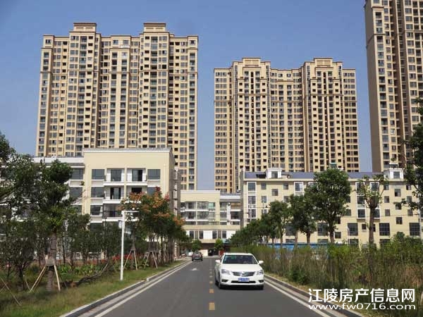 �������ݽ����Ѩ�Ͱ�����뵺