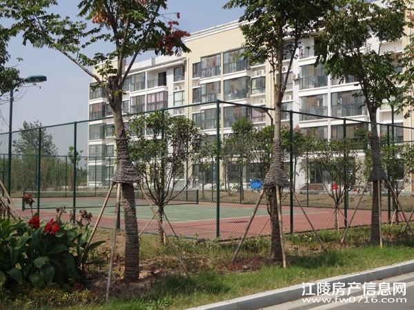 �������ݽ����Ѩ�Ͱ�����뵺