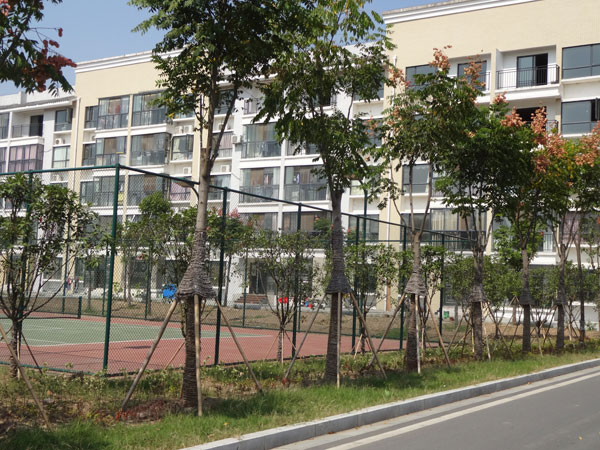 �������ݽ����Ѩ�Ͱ�����뵺