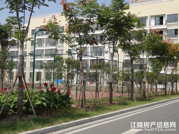 �������ݽ����Ѩ�Ͱ�����뵺