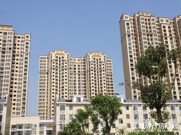 �������ݽ����Ѩ�Ͱ�����뵺