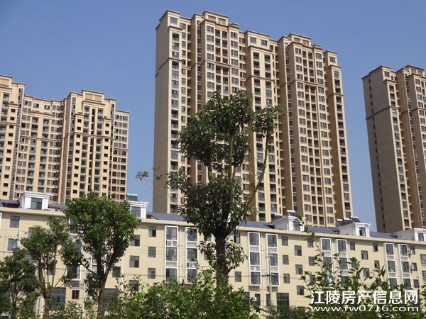 �������ݽ����Ѩ�Ͱ�����뵺