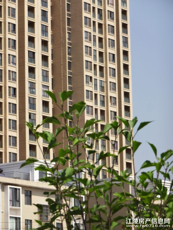 �������ݽ����Ѩ�Ͱ�����뵺