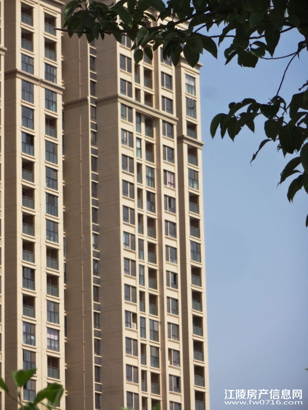 �������ݽ����Ѩ�Ͱ�����뵺