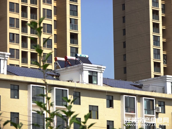 �������ݽ����Ѩ�Ͱ�����뵺