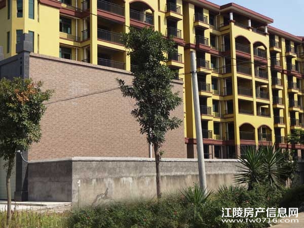 ���������˽�����ͥ���淿