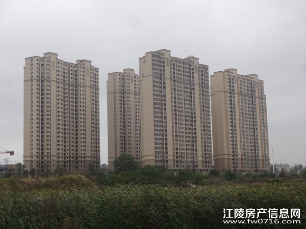 ����Ͱ�����뵺