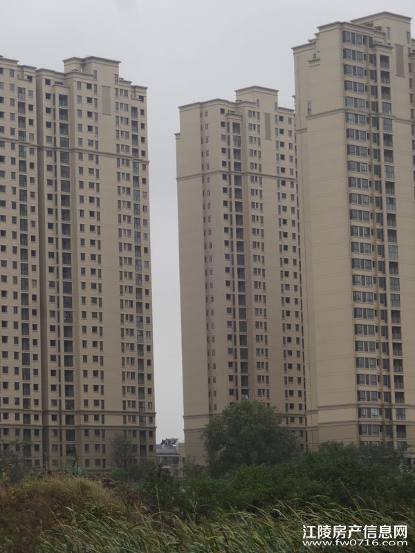 ���������Ѩ�Ͱ�����뵺