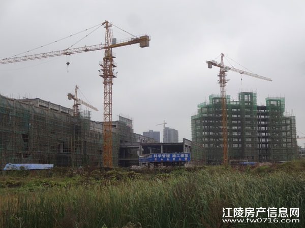 ���������Ѩ�Ͱ�����뵺