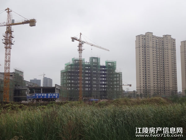 ���������Ѩ�Ͱ�����뵺