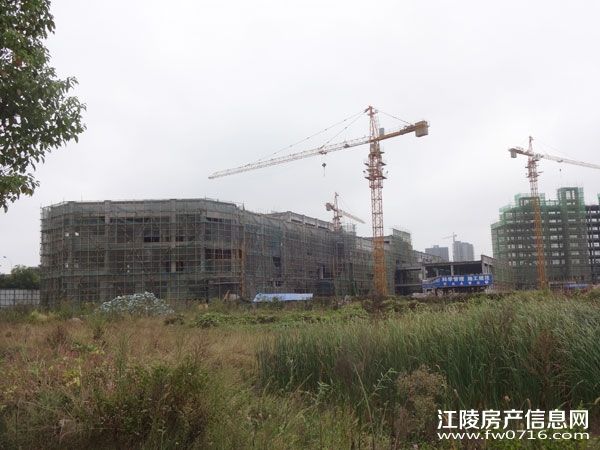 ���������Ѩ�Ͱ�����뵺