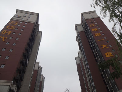 ��С��һ��ι۽����һ�������ʱ����һ��