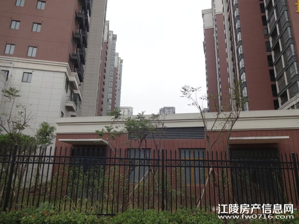 ���������Ѩ���ʱ��