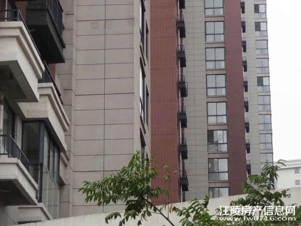 ���������Ѩ���ʱ��