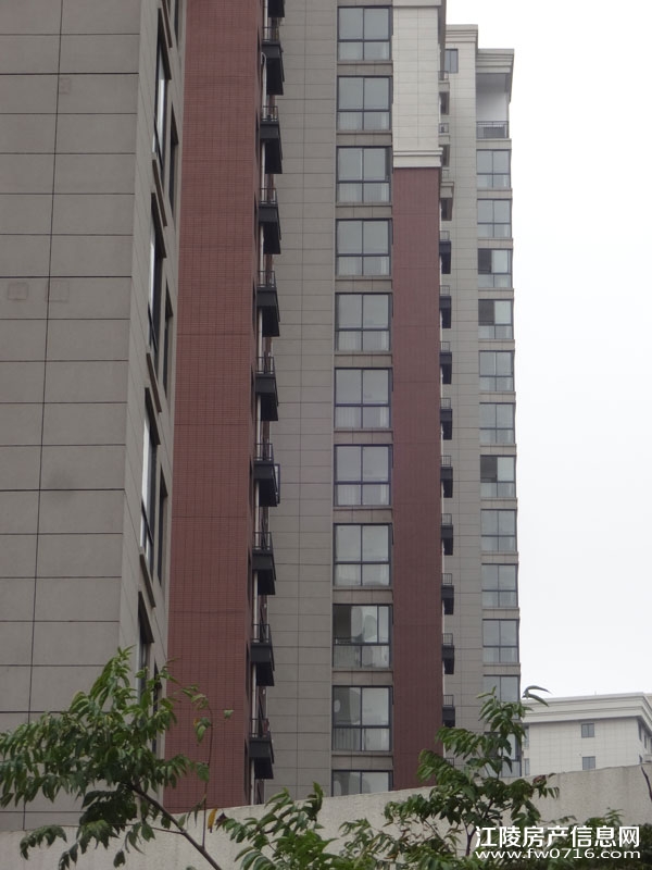 ���������Ѩ���ʱ��