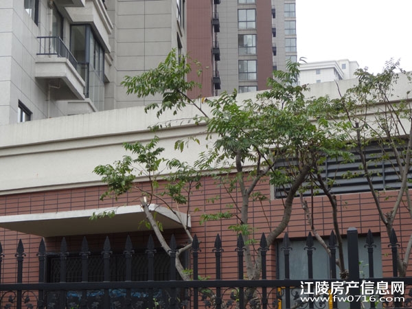 ���������Ѩ���ʱ��