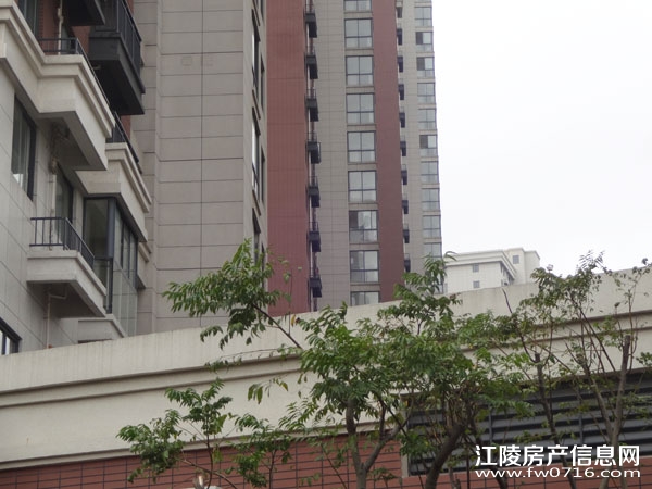 ���������Ѩ���ʱ��