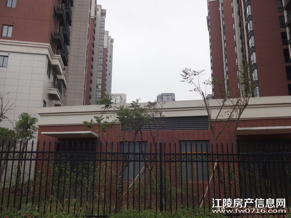 ���������Ѩ���ʱ��