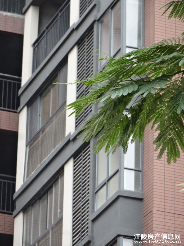 ���������Ѩ���ʱ��