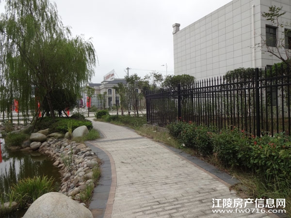 ���������Ѩ���ʱ��