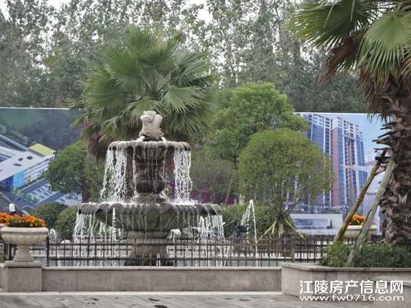 ���������Ѩ���ʱ��