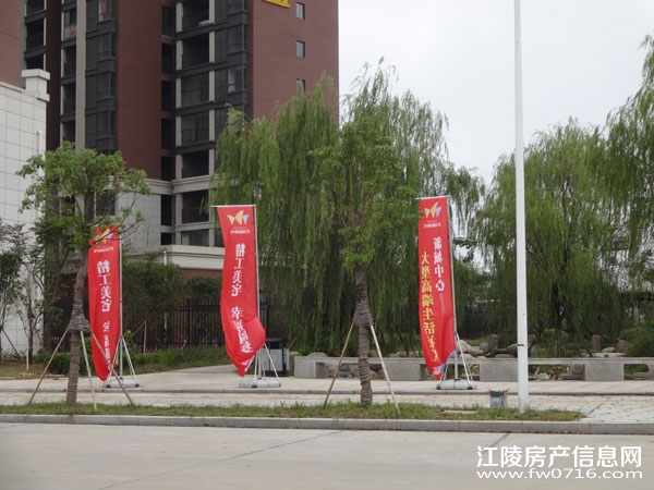 ���������Ѩ���ʱ��