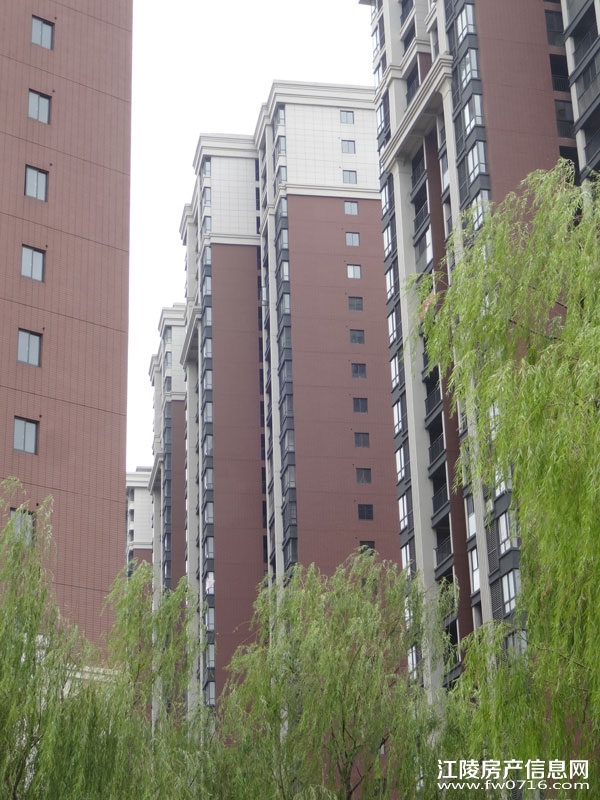 ���������Ѩ���ʱ��