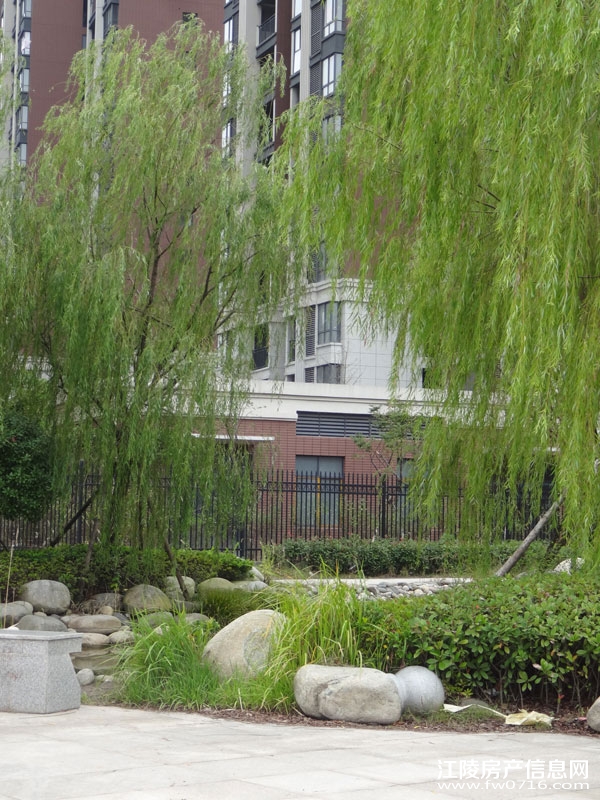 ���������Ѩ���ʱ��