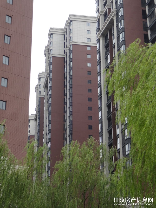 ���������Ѩ���ʱ��