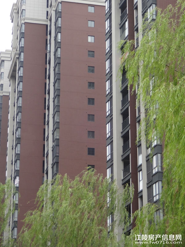 ���������Ѩ���ʱ��