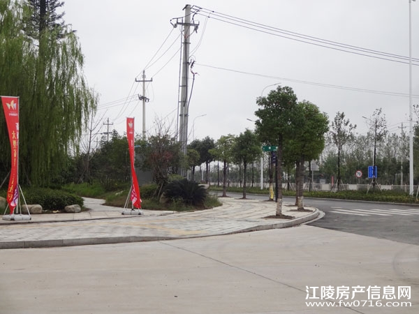 ���������Ѩ���ʱ��