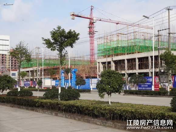 ����ʡ�����н����ذ��ֻ�԰