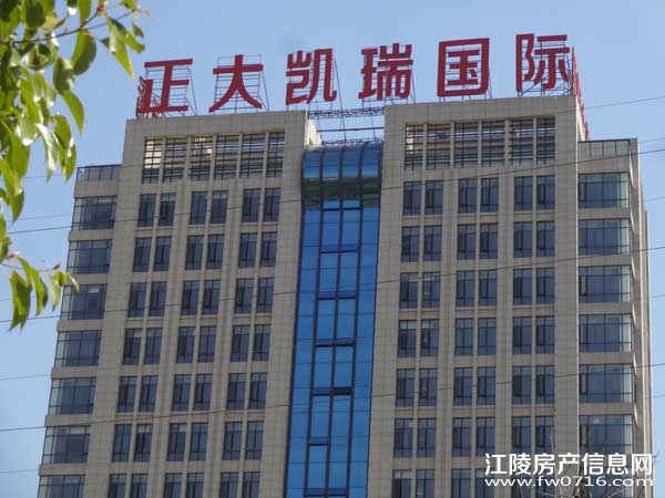 ���ݽ��꾣������������ʿ����Ƶ�